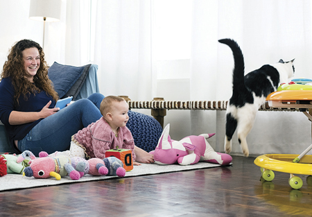 Actively supervise or securely separate your child and your cat